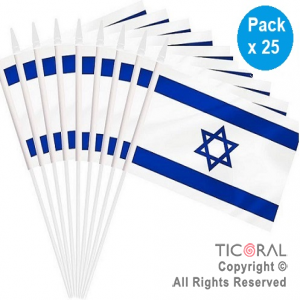 BANDERA PLASTICA ISRAEL 15X25CM x 25